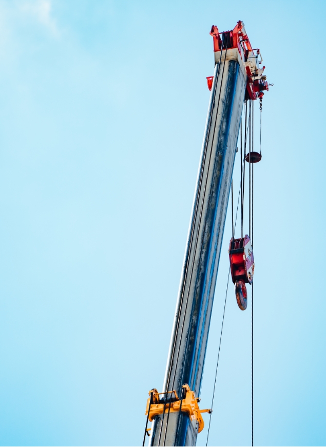 わたしたちについての写真イメージ2