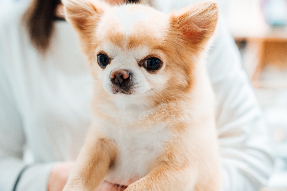 その他制度 イメージ写真