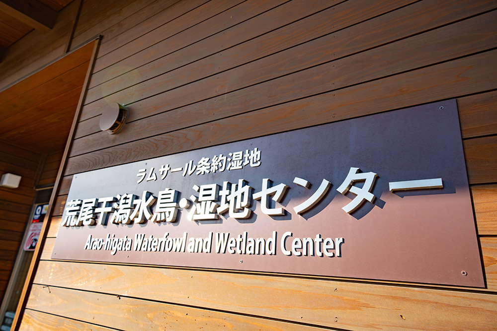 荒尾干潟水鳥・湿地センター新築工事の建築実績写真