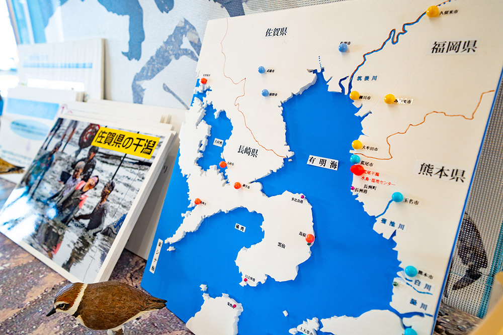 荒尾干潟水鳥・湿地センター新築工事の実績写真