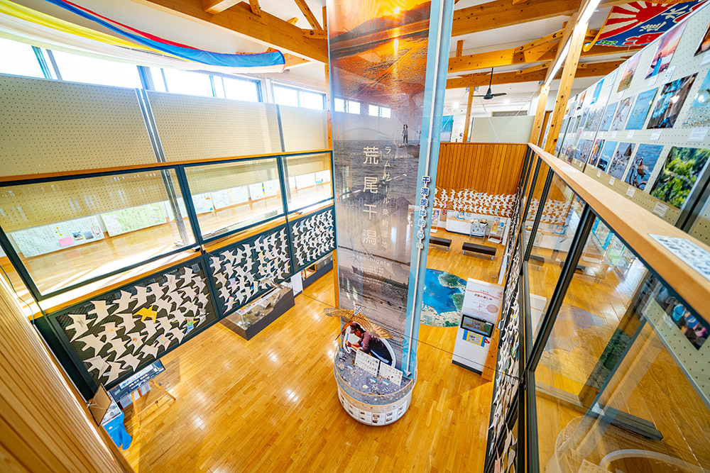 荒尾干潟水鳥・湿地センター新築工事の実績写真