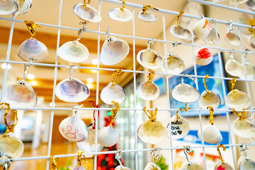 荒尾干潟水鳥・湿地センター新築工事の実績写真